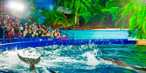 Дельфинарий (Купчино, ТРЦ «РИО»)