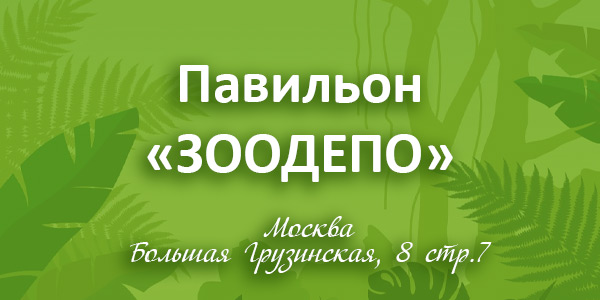 (Москва) Павильон ЗООДЕПО