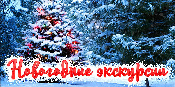 Новогодние экскурсии